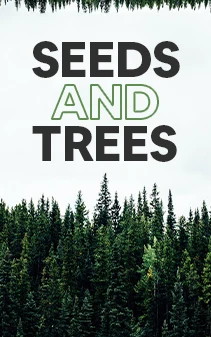 Biography book cover 8